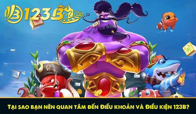 Tại sao bạn nên quan tâm đến Điều khoản và Điều kiện 123B?