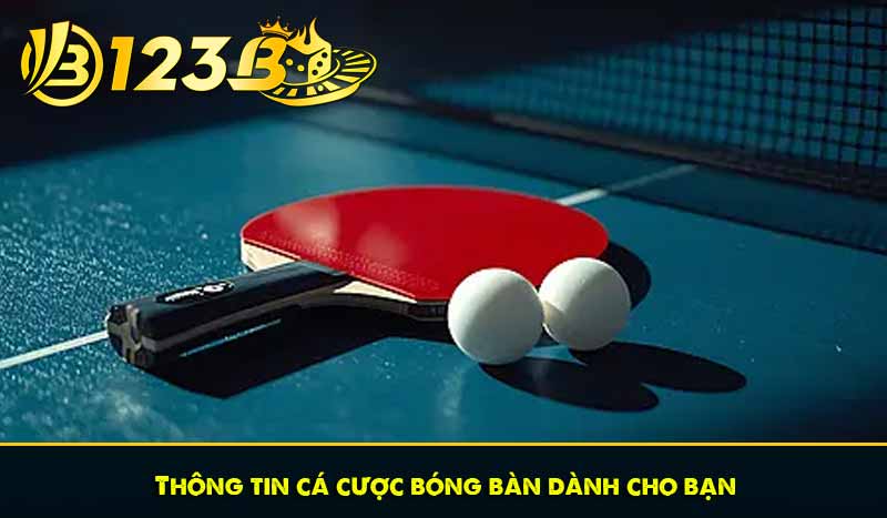 Thông tin cá cược bóng bàn dành cho bạn